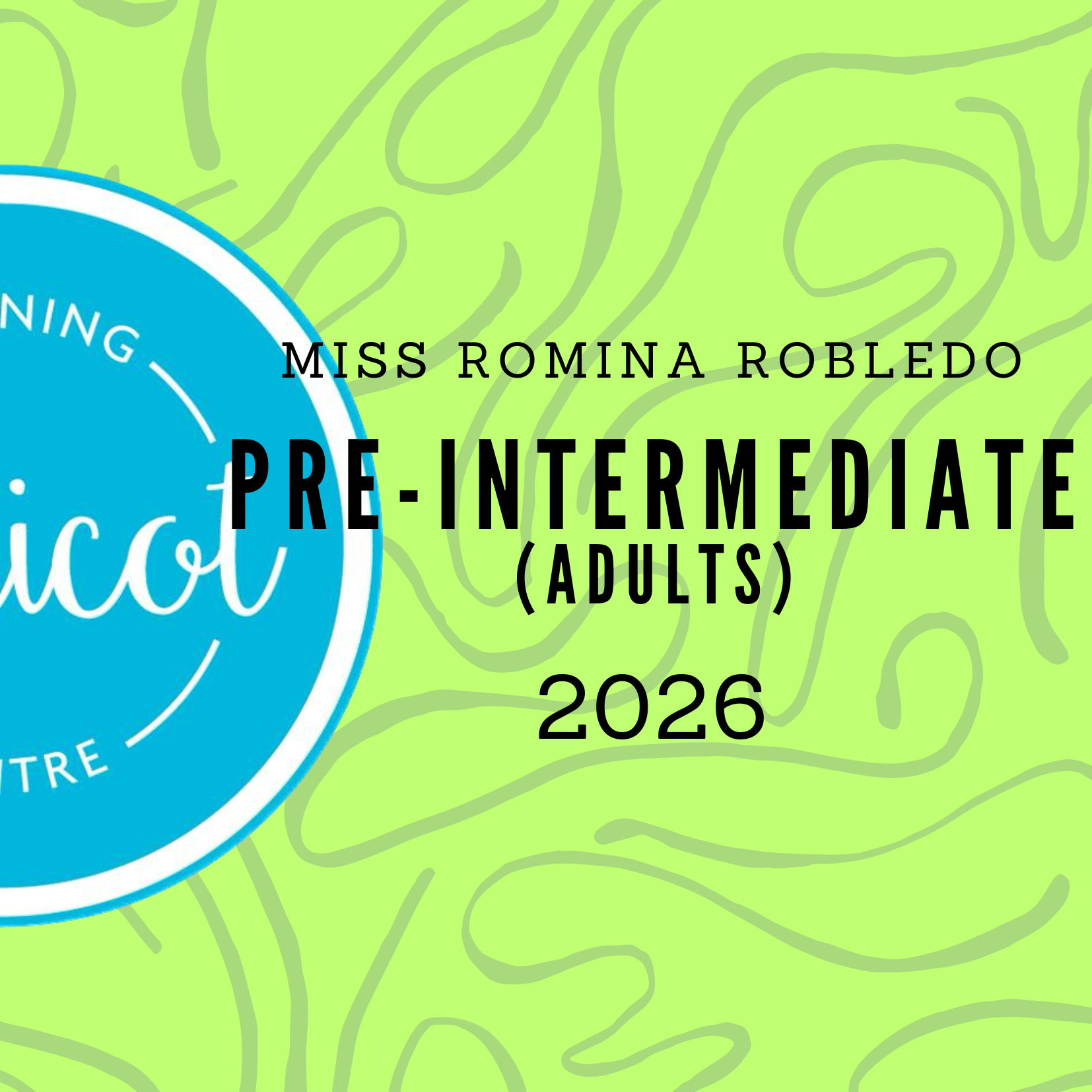 Pre intermediate (adults)