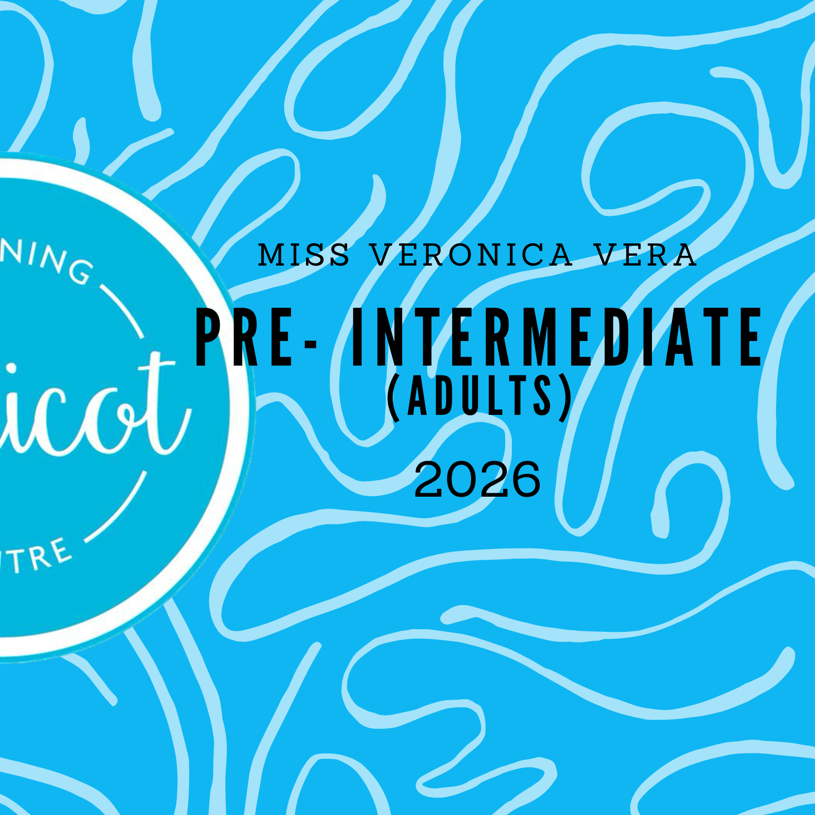 Pre-intermediate Adults (English File 4th edition)